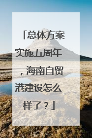 总体方案实施五周年，海南自贸港建设怎么样了？