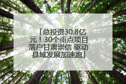 总投资30.8亿元！30个重点项目落户甘肃崇信 驱动县域发展加速跑