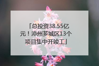总投资38.55亿元！漳州芗城区13个项目集中开竣工