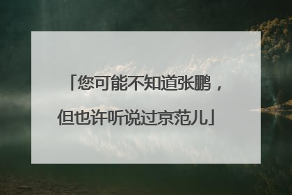 您可能不知道张鹏，但也许听说过京范儿
