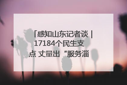 感知山东记者谈｜17184个民生支点 丈量出“服务淄博”的文明温度