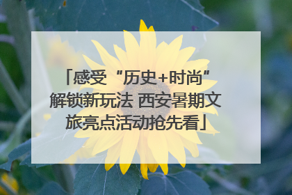 感受“历史+时尚” 解锁新玩法 西安暑期文旅亮点活动抢先看