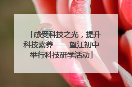感受科技之光，提升科技素养——望江初中举行科技研学活动