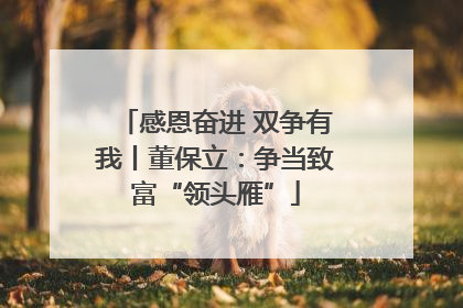 感恩奋进 双争有我丨董保立：争当致富“领头雁”