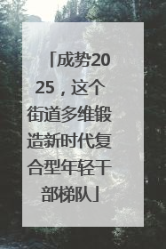 成势2025，这个街道多维锻造新时代复合型年轻干部梯队