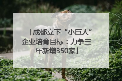 成都立下“小巨人”企业培育目标：力争三年新增350家