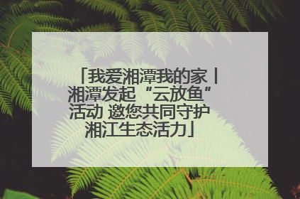 我爱湘潭我的家丨湘潭发起“云放鱼”活动 邀您共同守护湘江生态活力