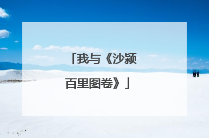 我与《沙颍百里图卷》
