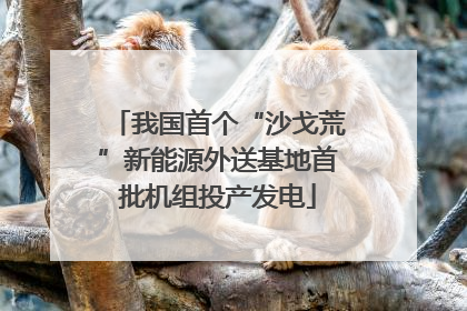 我国首个“沙戈荒”新能源外送基地首批机组投产发电