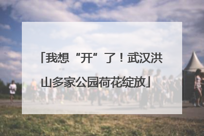 我想“开”了！武汉洪山多家公园荷花绽放