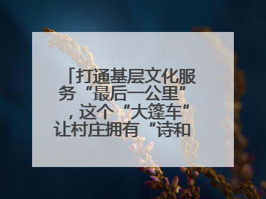 打通基层文化服务“最后一公里”，这个“大篷车”让村庄拥有“诗和远方”