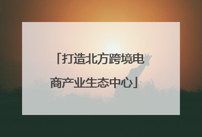 打造北方跨境电商产业生态中心