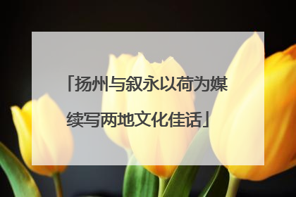 扬州与叙永以荷为媒续写两地文化佳话