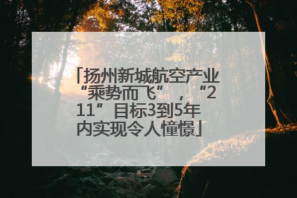 扬州新城航空产业“乘势而飞”，“211”目标3到5年内实现令人憧憬