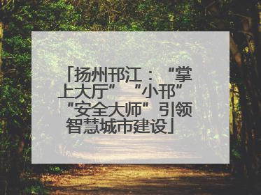 扬州邗江：“掌上大厅”“小邗”“安全大师”引领智慧城市建设