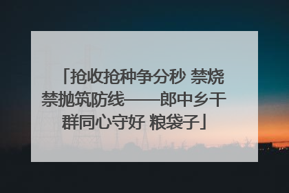 抢收抢种争分秒 禁烧禁抛筑防线——郎中乡干群同心守好 粮袋子