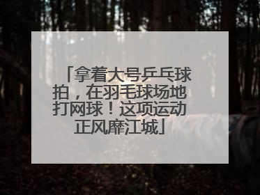 拿着大号乒乓球拍，在羽毛球场地打网球！这项运动正风靡江城