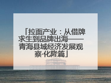 拉面产业：从借牌求生到品牌出海——青海县域经济发展观察·化隆篇