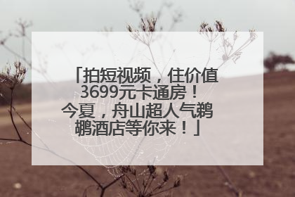 拍短视频，住价值3699元卡通房！今夏，舟山超人气鹈鹕酒店等你来！