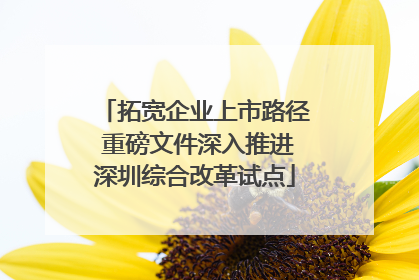 拓宽企业上市路径 重磅文件深入推进深圳综合改革试点