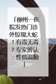 柳州一医院发热门诊外惊现大蛇！有毒无毒？专家辨认：性情温顺