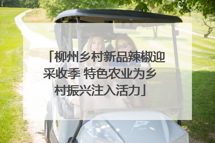 柳州乡村新品辣椒迎采收季 特色农业为乡村振兴注入活力