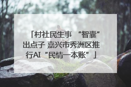 村社民生事 “智囊”出点子 嘉兴市秀洲区推行AI“民情一本账”