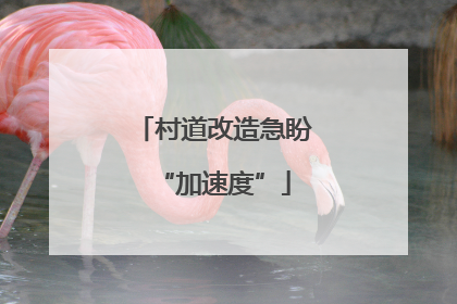 村道改造急盼“加速度”