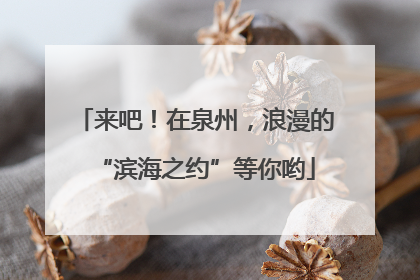 来吧！在泉州，浪漫的“滨海之约”等你哟