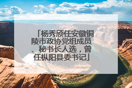 杨秀颀任安徽铜陵市政协党组成员、秘书长人选，曾任枞阳县委书记