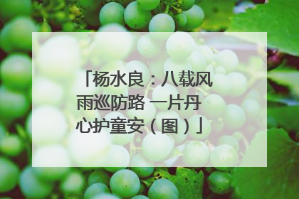 杨水良：八载风雨巡防路 一片丹心护童安（图）