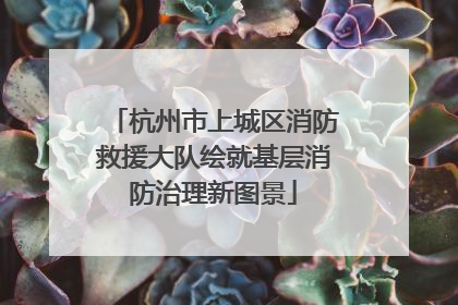 杭州市上城区消防救援大队绘就基层消防治理新图景