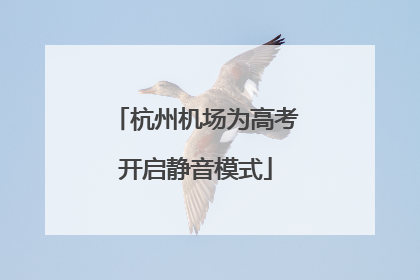 杭州机场为高考开启静音模式