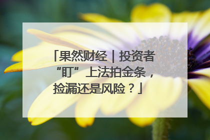 果然财经｜投资者“盯”上法拍金条，捡漏还是风险？