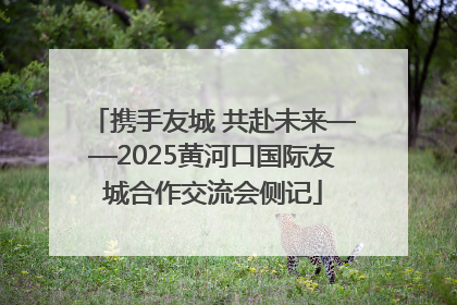 携手友城 共赴未来——2025黄河口国际友城合作交流会侧记