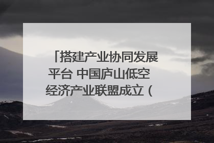 搭建产业协同发展平台 中国庐山低空经济产业联盟成立（组图｜视频）