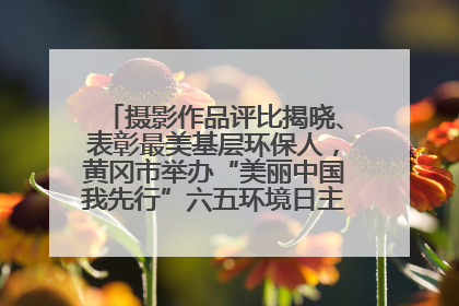 摄影作品评比揭晓、表彰最美基层环保人，黄冈市举办“美丽中国我先行”六五环境日主题宣传活动