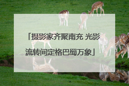 摄影家齐聚南充 光影流转间定格巴蜀万象