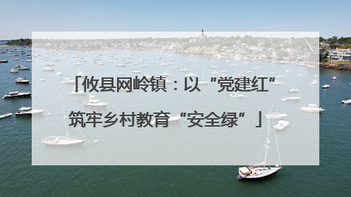 攸县网岭镇：以“党建红”筑牢乡村教育“安全绿”