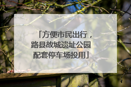 方便市民出行，路县故城遗址公园配套停车场投用