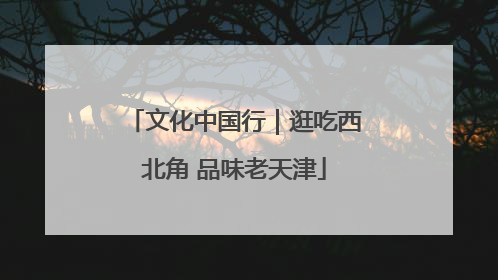 文化中国行｜逛吃西北角 品味老天津