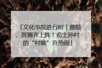 文化书院进行时｜腰鼓、舞狮齐上阵！耇士孙村的“村晚”真热闹