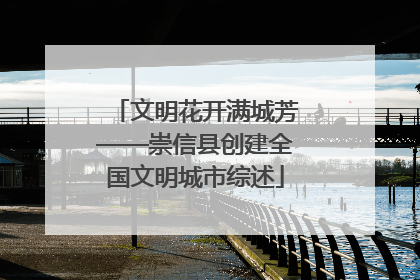 文明花开满城芳——崇信县创建全国文明城市综述