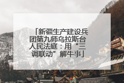 新疆生产建设兵团第九师乌拉斯台人民法庭：用“三调联动”解牛事