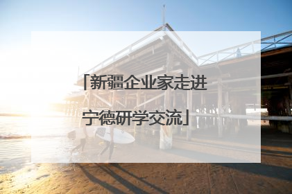新疆企业家走进宁德研学交流