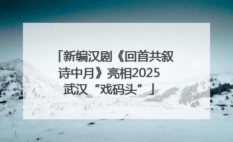 新编汉剧《回首共叙诗中月》亮相2025武汉“戏码头”