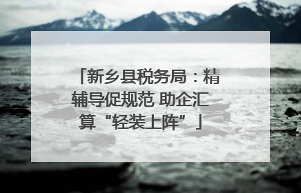 新乡县税务局：精辅导促规范 助企汇算“轻装上阵”