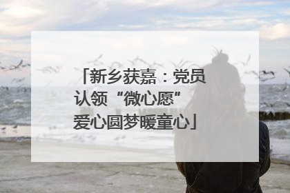 新乡获嘉：党员认领“微心愿” 爱心圆梦暖童心