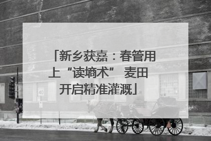 新乡获嘉：春管用上“读墒术” 麦田开启精准灌溉