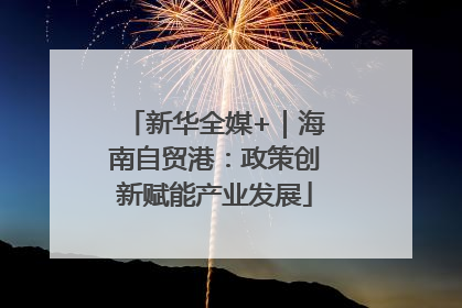新华全媒+｜海南自贸港：政策创新赋能产业发展